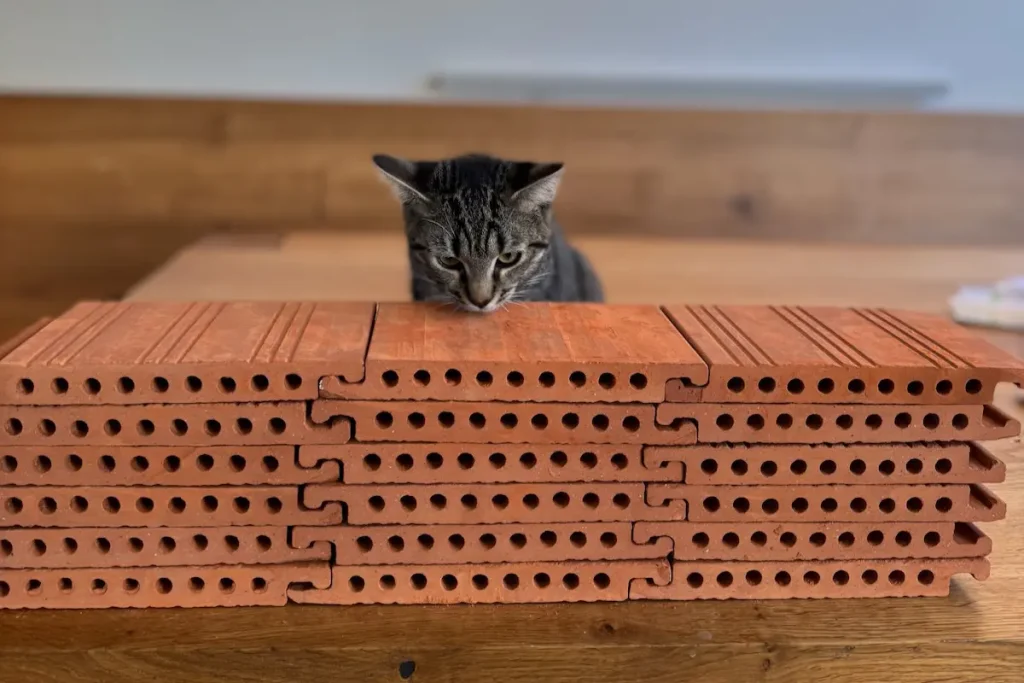 Katze und Ziegelsteine auf Esstisch in einem Wohnzimmer