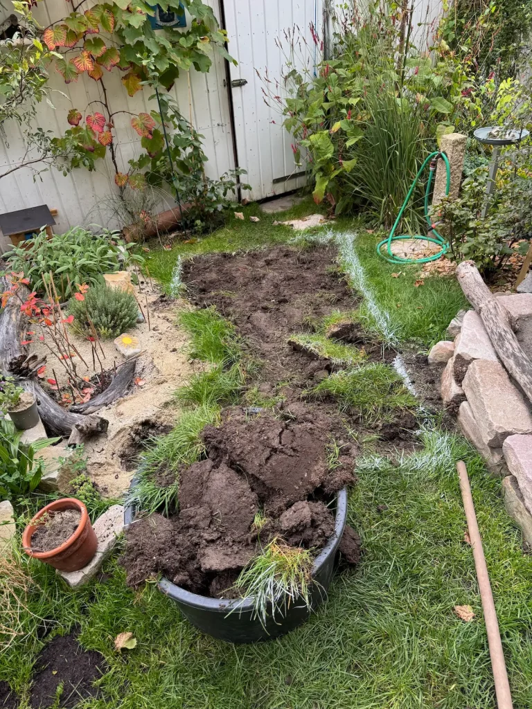 Kleiner Garten mir markierter Fläche auf der die Grasnarbe ausgestochen wurde