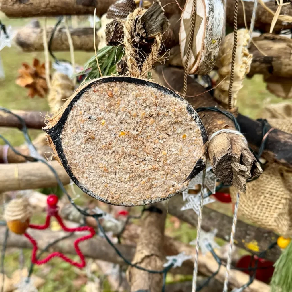 Vogelfutter in Kokosnussschale am Baum aufgehängt