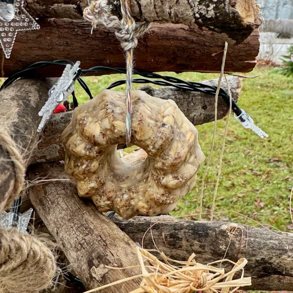 Vogelfutter-Ring am Baum aufgehängt