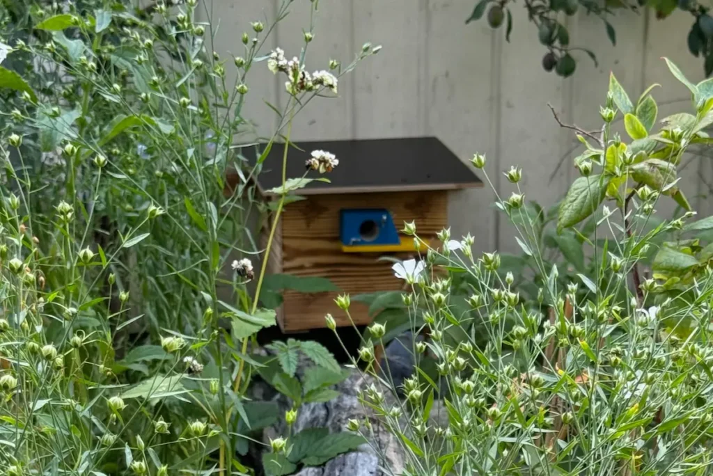 Hummelkasten versteckt hinter einer Wildblumenwiese