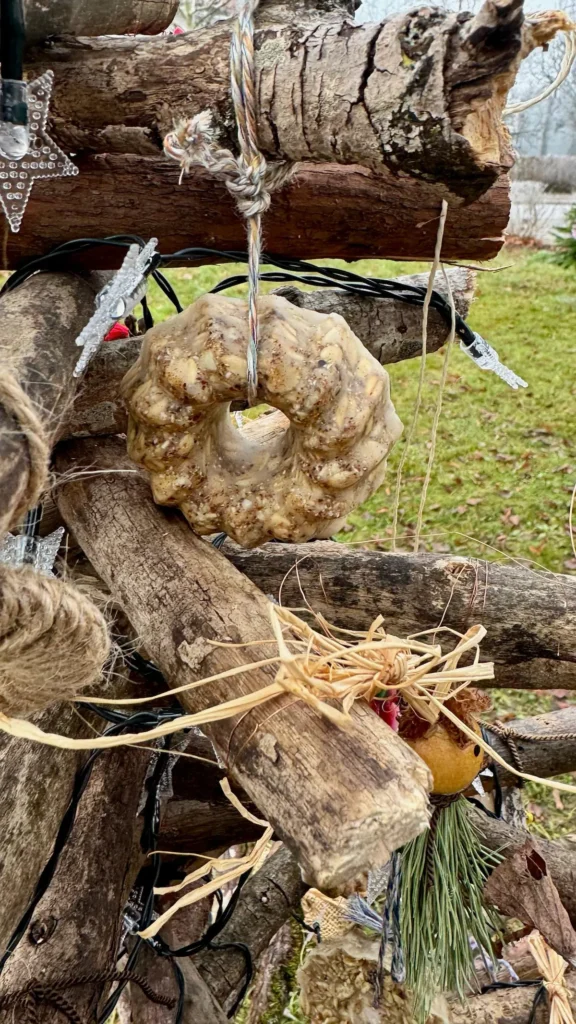 Selbst gemachtes Vogel-Winterfutter in Form eines Gugelhupfes