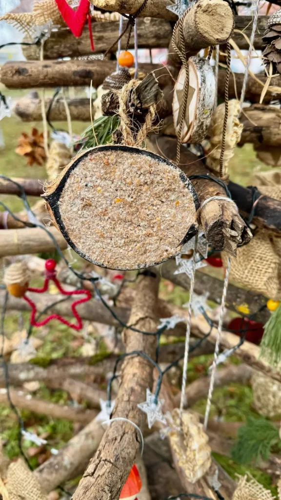 Selbst gemachtes Vogel-Winterfutter in Kokosnussschale