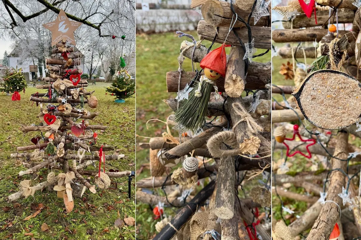 Nachhaltige Weihnachtsbäume: Schön, kreativ und gut für die Umwelt