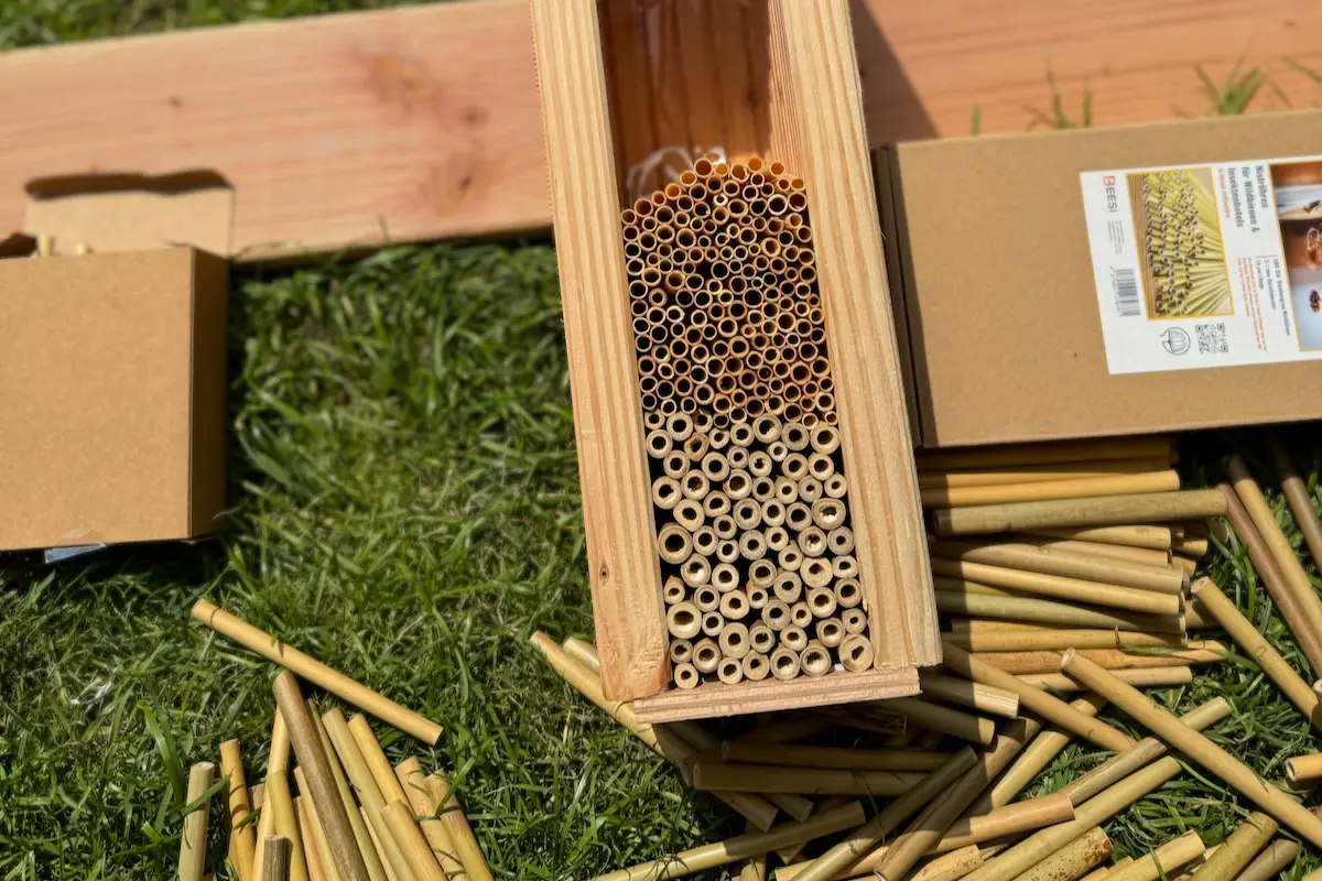 Nisthilfe für Wildbienen bauen: DIY-Anleitung mit Nisthülsen