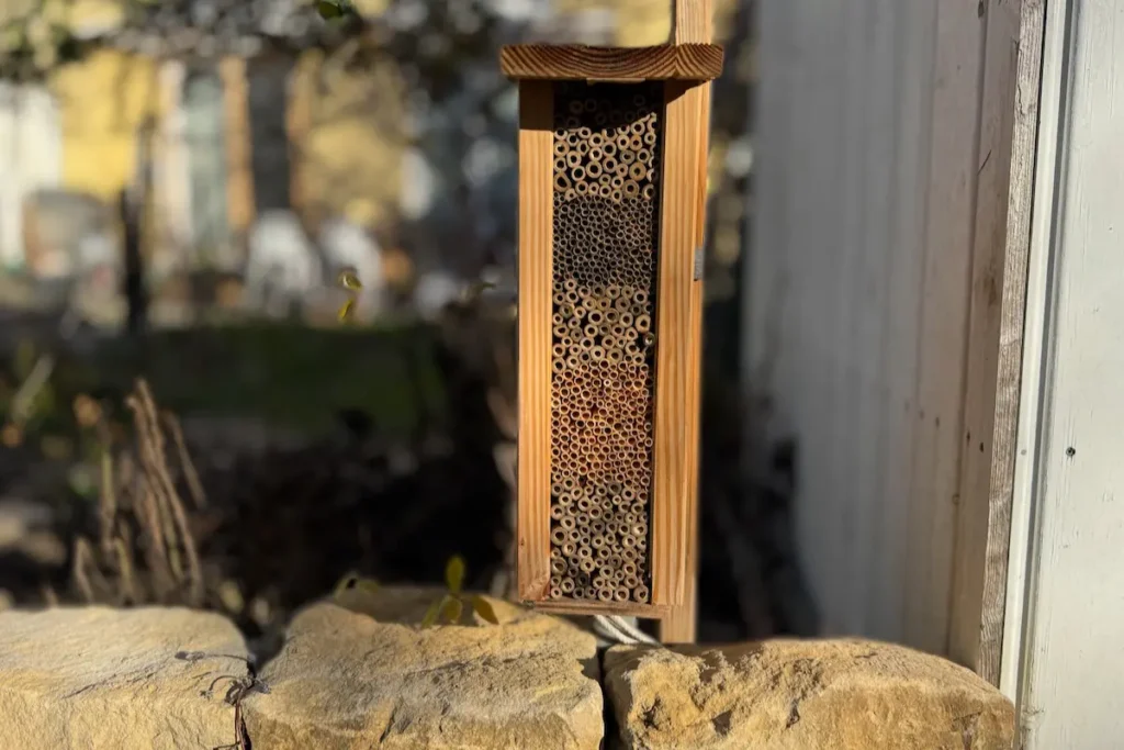 Nisthilfe aus Holz mit Schilf- und Bambusröhrchen vor einer Natursteinmauer.