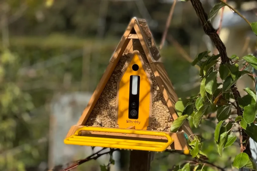 Gelbe Vogelfutterstation mit Kamera