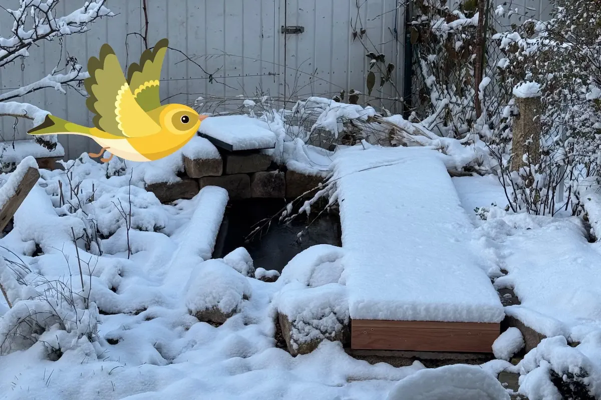 Sichere Wasserstellen für Vögel im Winter: So hilfst du ihnen durch die kalte Jahreszeit