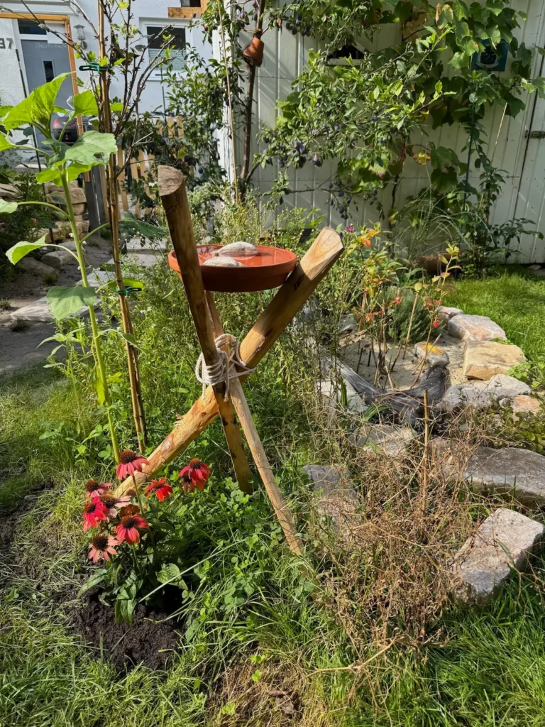 Futtertränke für Vögel in Wildblumenwiese