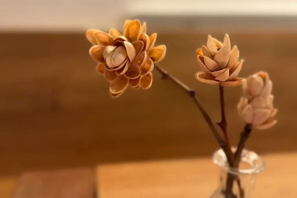 Blume in Vase aus leeren Pistazienschalen modelliert auf einem Esstisch.