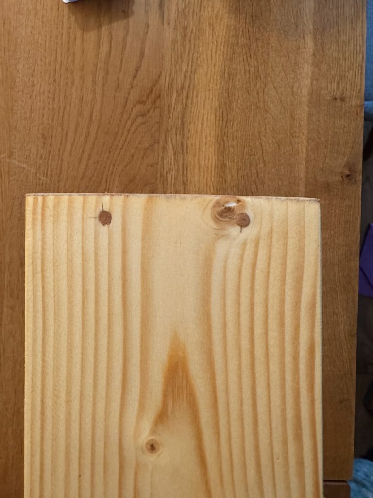 Nahaufnahmen Holzdübel in frisch geöltem Holzbrett.