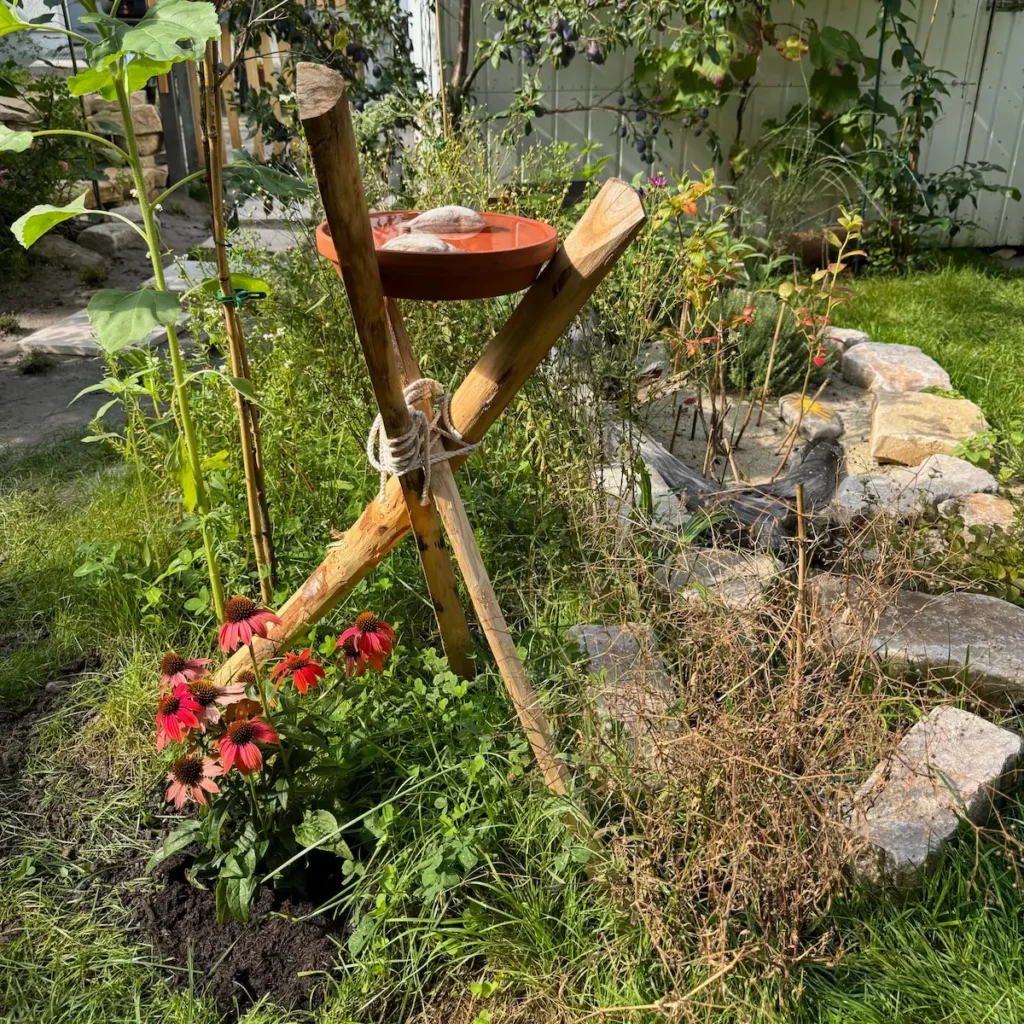 Vogeltränke auf Holzpfählen in einer Wildblumenwiese.