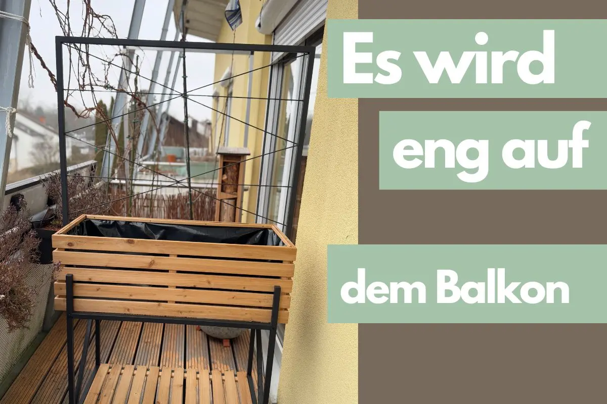 Test: Hochbeet Elin mit Anzuchtaufsatz von Tchibo – Unser neues Balkonprojekt