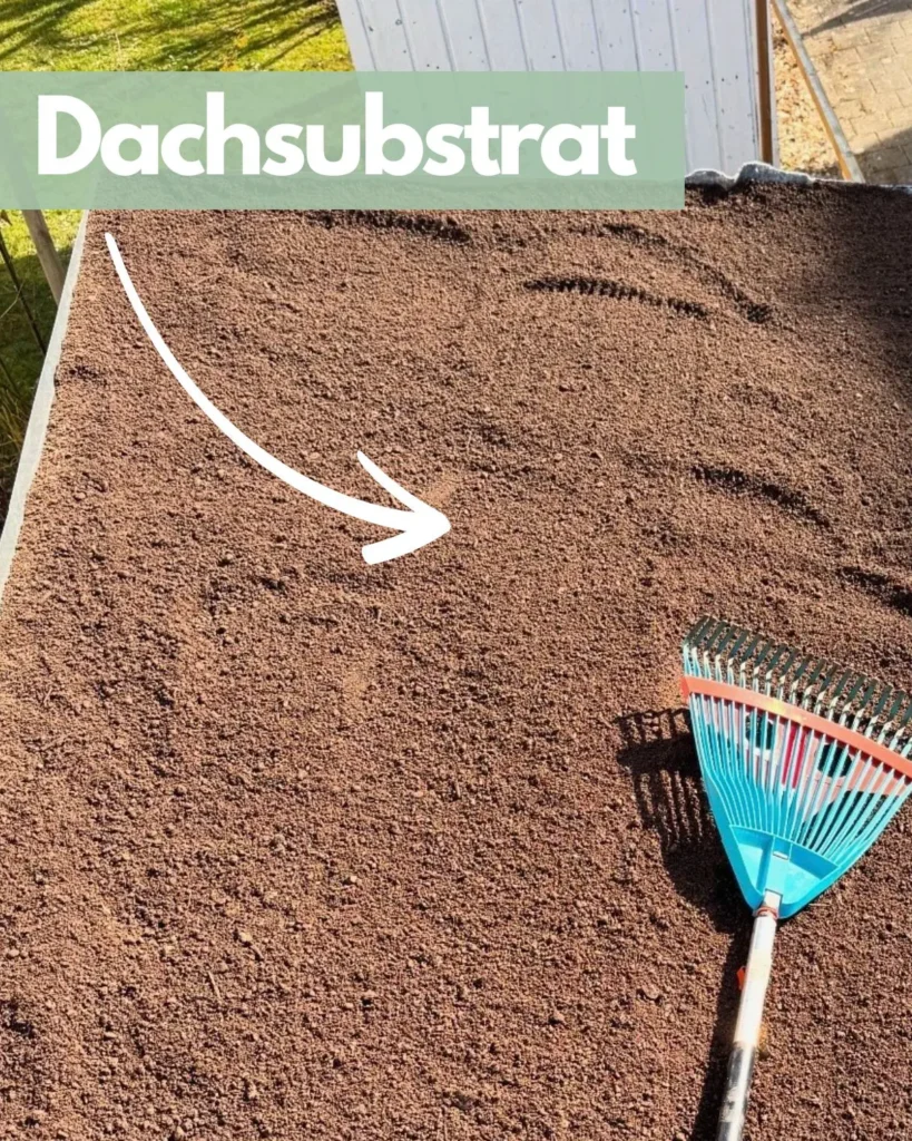 Dachfläche mit frischem Dachsubstrat gefüllt.